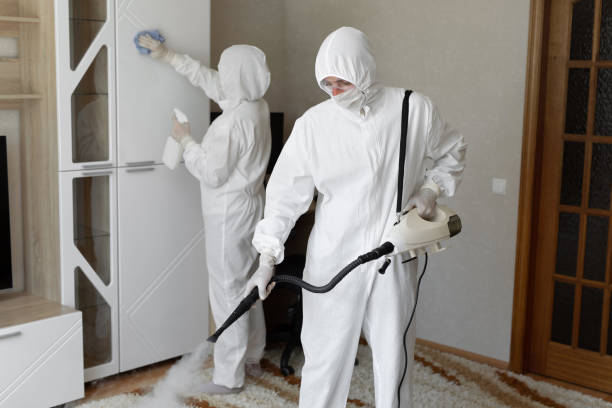 Best Post-Flood Mold Remediation in Romancoke, MD