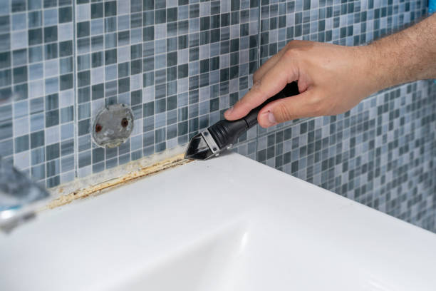 Best DIY Mold Remediation Support Services in Romancoke, MD